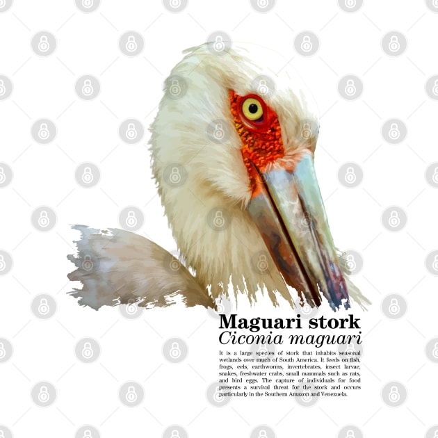 Maguari stork tropical bird black text by Ornamentum