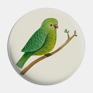 Cute Parrot Pin