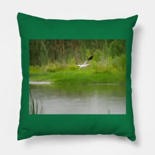 Flight of an American Avocet Pillow