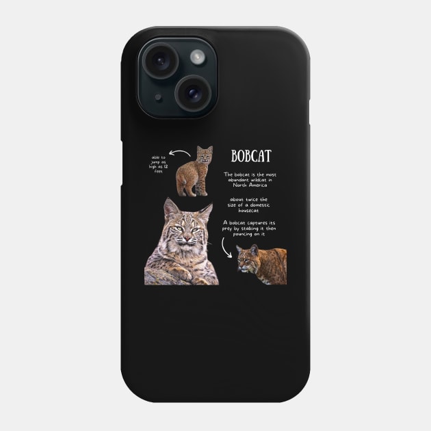 Animal Facts - Bobcat Phone Case by Animal Facts and Trivias