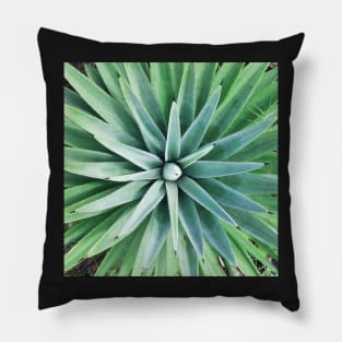 Plant print, Cactus print, Succulent, Scandinavian print, Trendy print, Styled, Pillow, Modern art, Wall art, Print, Minimalistic, Modern Pillow