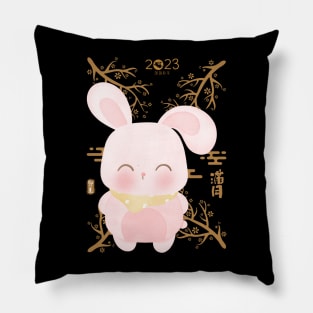 2023 - The year of the Rabbit Pillow