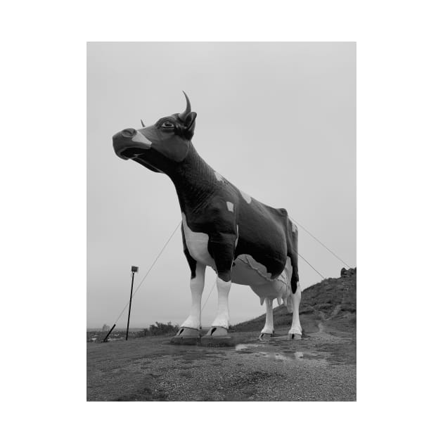The World's Largest Holstein Cow by Ckauzmann