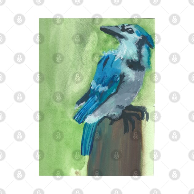 Blue Jay Watercolor by Absel123