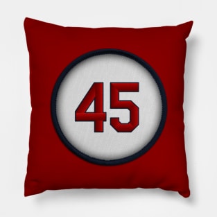 Gibby 45 Pillow