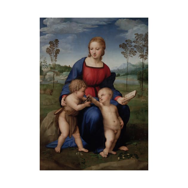 Madonna of the Goldfinch by Raphael by Classic Art Stall