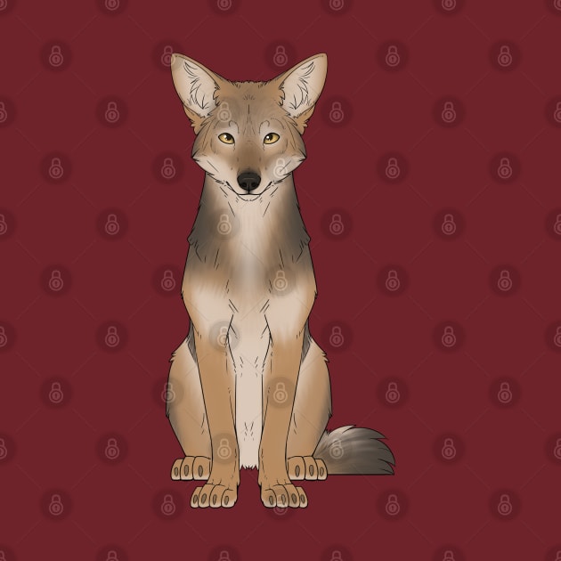 Coyote by ZTheCrazed