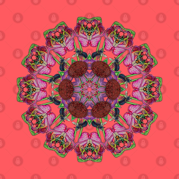 Carolinian Wildflowers Kaleidoscope by ThisIsNotAnImageOfLoss