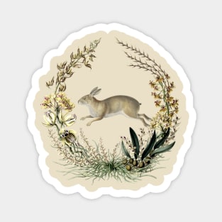 Rabbit Wildlife Illustration Magnet