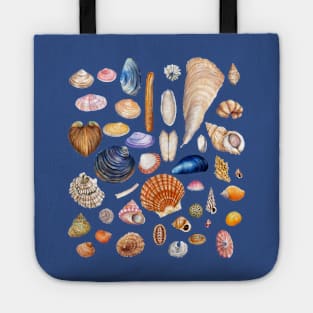 Watercolor Seashell Collection Tote