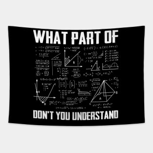 What Part Of Don't You Understand Funny Math Teacher Tapestry
