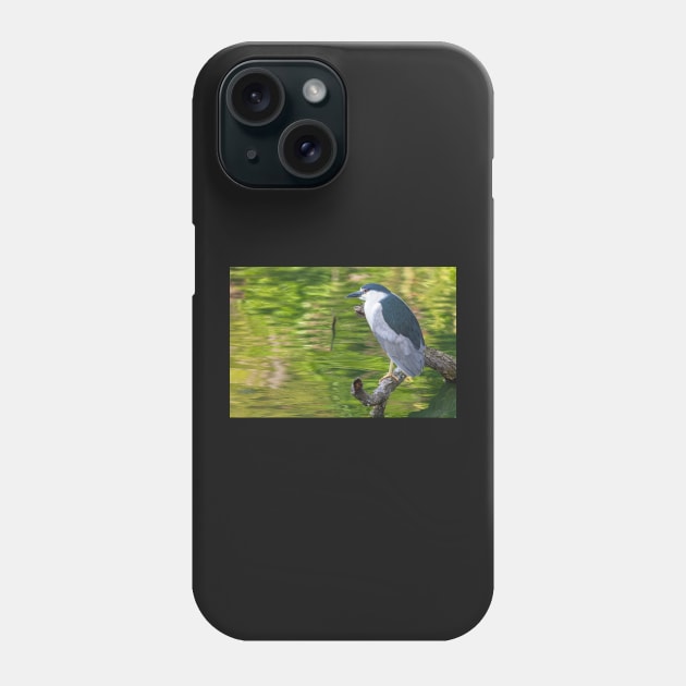 Night Heron with green backgrop Phone Case by jvnimages