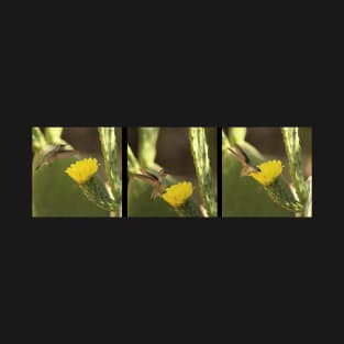 Hummingbird On Yellow Cactus Blossom Triptych T-Shirt