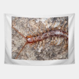 Stone centipede Tapestry