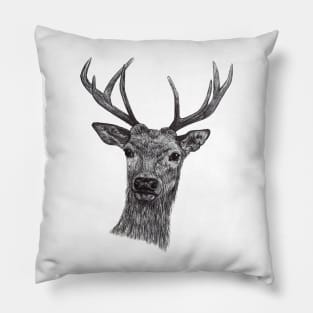 animal deer face in black and white Pillow