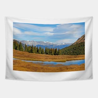 James Peak Wilderness from Guanella Pass Tapestry