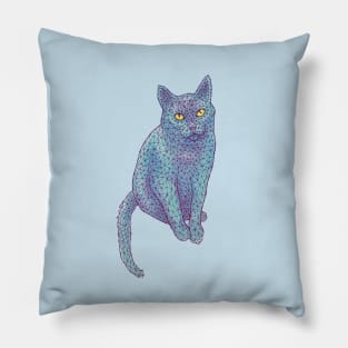 PolyCat Pillow