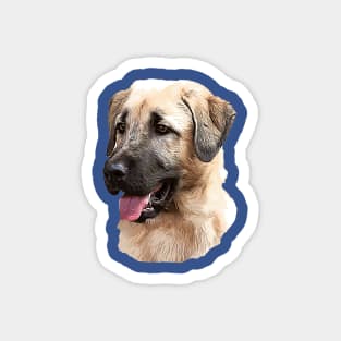 Kangal Shepherd Magnet