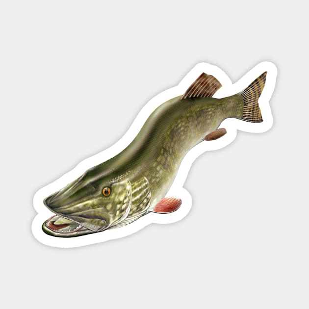 Northern Pike Fishing Art Illustration Magnet by MarkusShirts