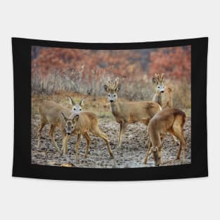 Roe deer family Tapestry