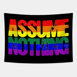 Assume Nothing LGBT Tapestry