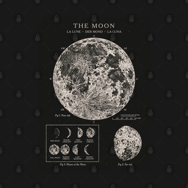 Moon Phases Vintage Poster by Antiquated Art