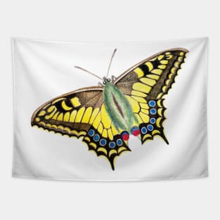 Vintage Swallowtail Butterfly Illustration Tapestry