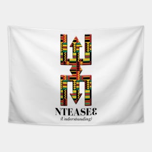 Nteasee (Understanding) Tapestry