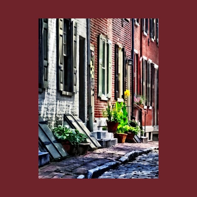 Philadelphia PA - Street With Flower Pots by SusanSavad