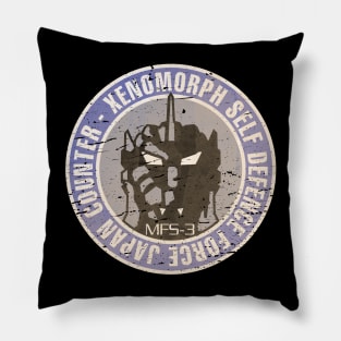 JCXSDF - Distressed Pillow