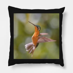 Hummingbird Acrobatics Pillow