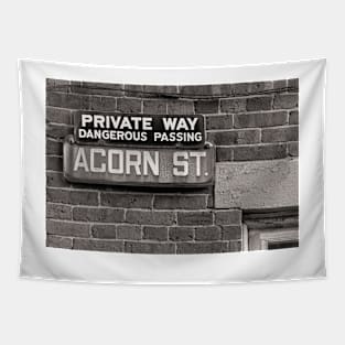 Acorn Street Sign B+W Tapestry