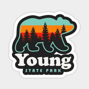 Young State Park Michigan Bear Retro Vintage Sunset Magnet