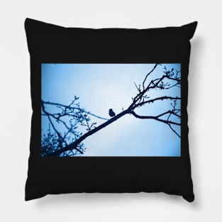 Starling Pillow