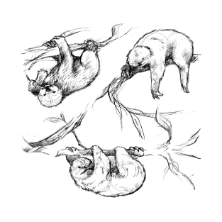 Sketches of a Sloth T-Shirt