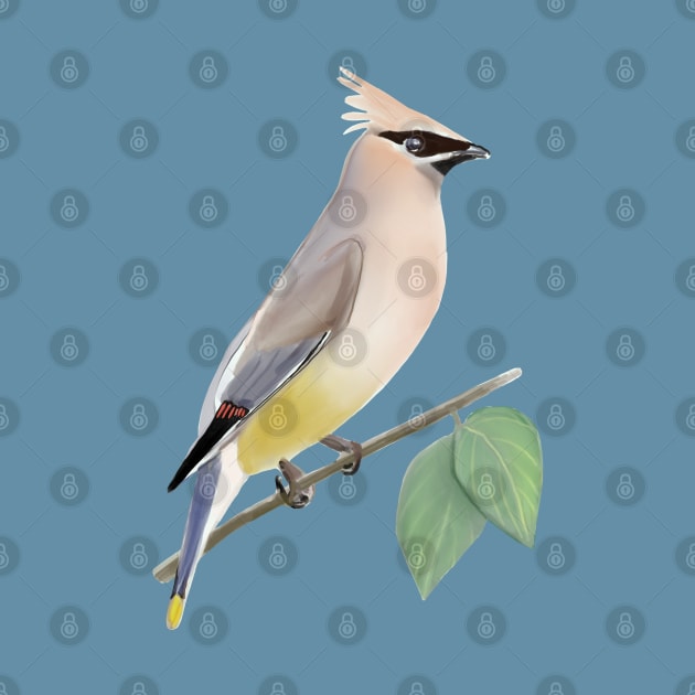 Cedar Waxwing Bird Digital Painting by MariaWorkman