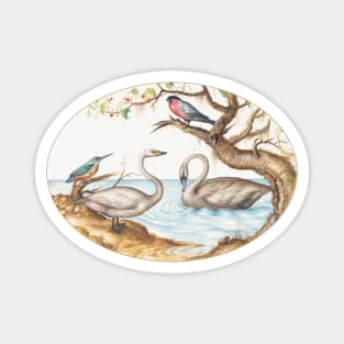 Two Swans, Kingfisher, and Bullfinch (1575–1580) Magnet