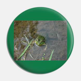 Froggy Pin
