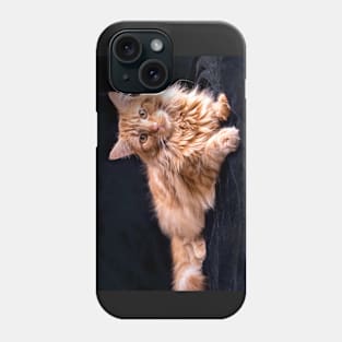 Big yellow cat Phone Case