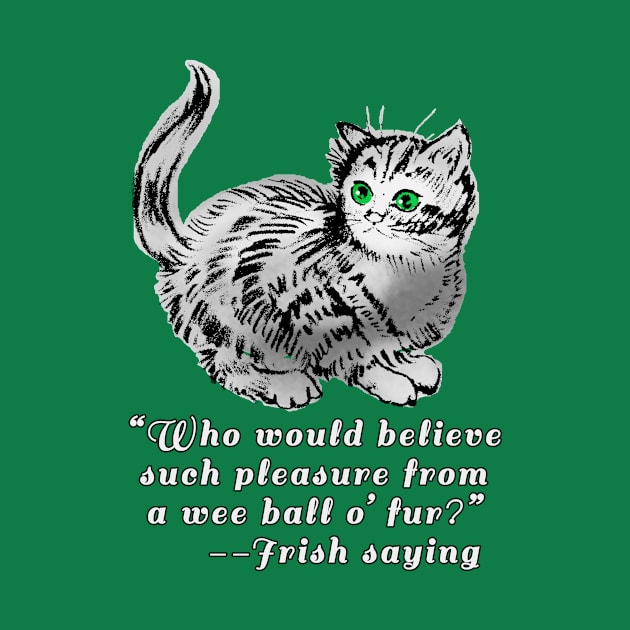 Cute Cat Design With Irish Saying by Scarebaby