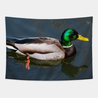 Mallard. Tapestry