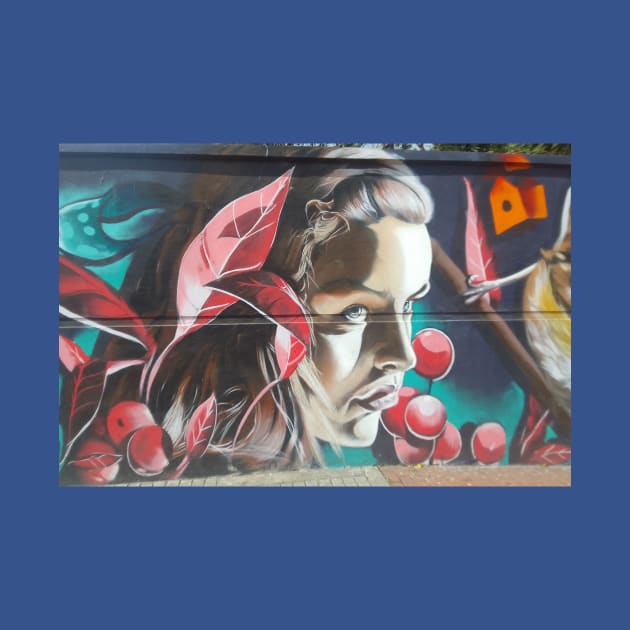 South Bogota Street Art by WesterStreetArt