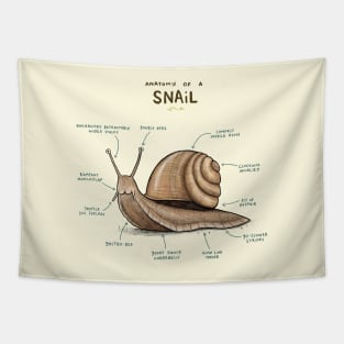 Anatomy of a Snail Tapestry