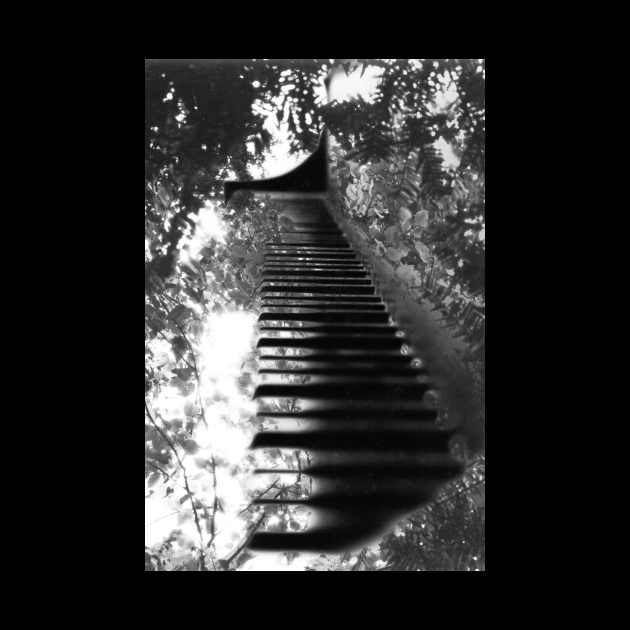 Piano in the Trees (B&W) by Voice0Reason