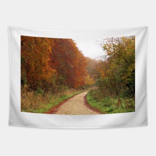 Winding Autumn Track Tapestry