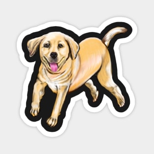 Labrador retriever playing - cute Golden Labrador retriever puppy dog prancing about Magnet