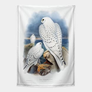 Greenland Falcon Tapestry