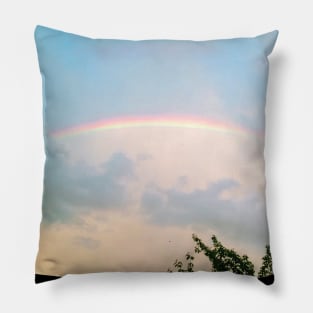 Amazing picture from Reston in Virginia photography Pillow