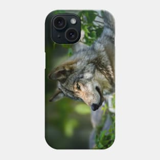 Gray Wolf Phone Case