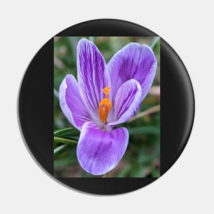 Purple, Orange and White Flower 4 Pin